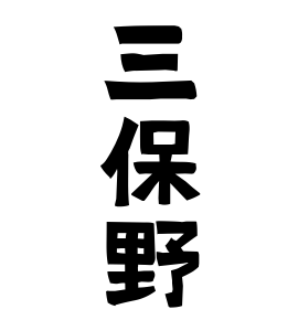 三保野