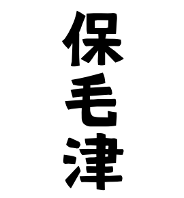 保毛津