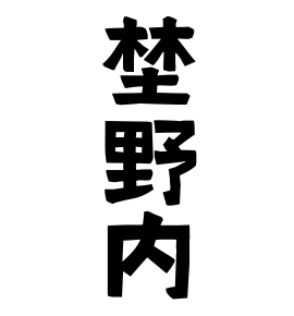埜野内