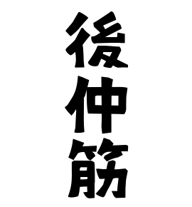 後仲筋