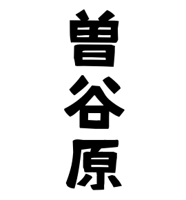 曽谷原
