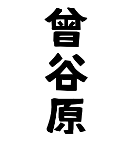 曾谷原