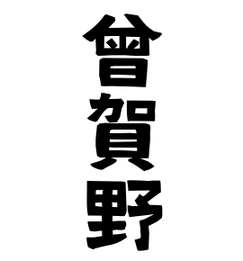 曾賀野