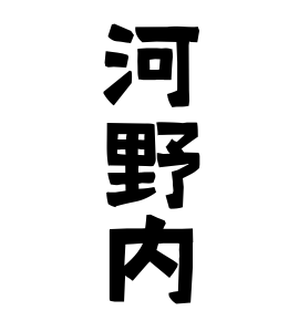 河野内