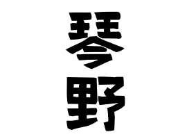 琴野