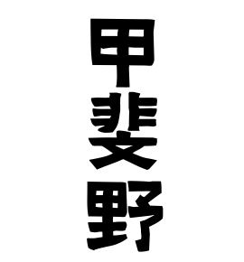 甲斐野