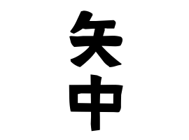 矢中