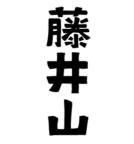 藤井山
