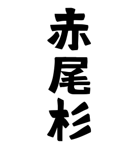 赤尾杉