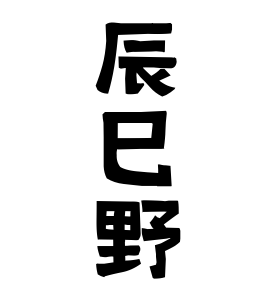 辰巳野