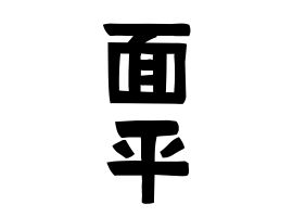 面平