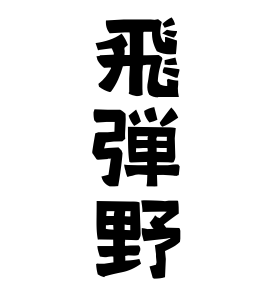 飛弾野